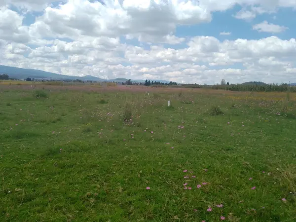 Terreno en venta en San Miguel Totocuitlapilco, Metepec — foto 3 de 4