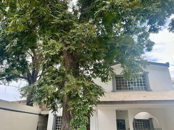 Casa en venta en Lerdo Centro, Lerdo — foto 2 de 34