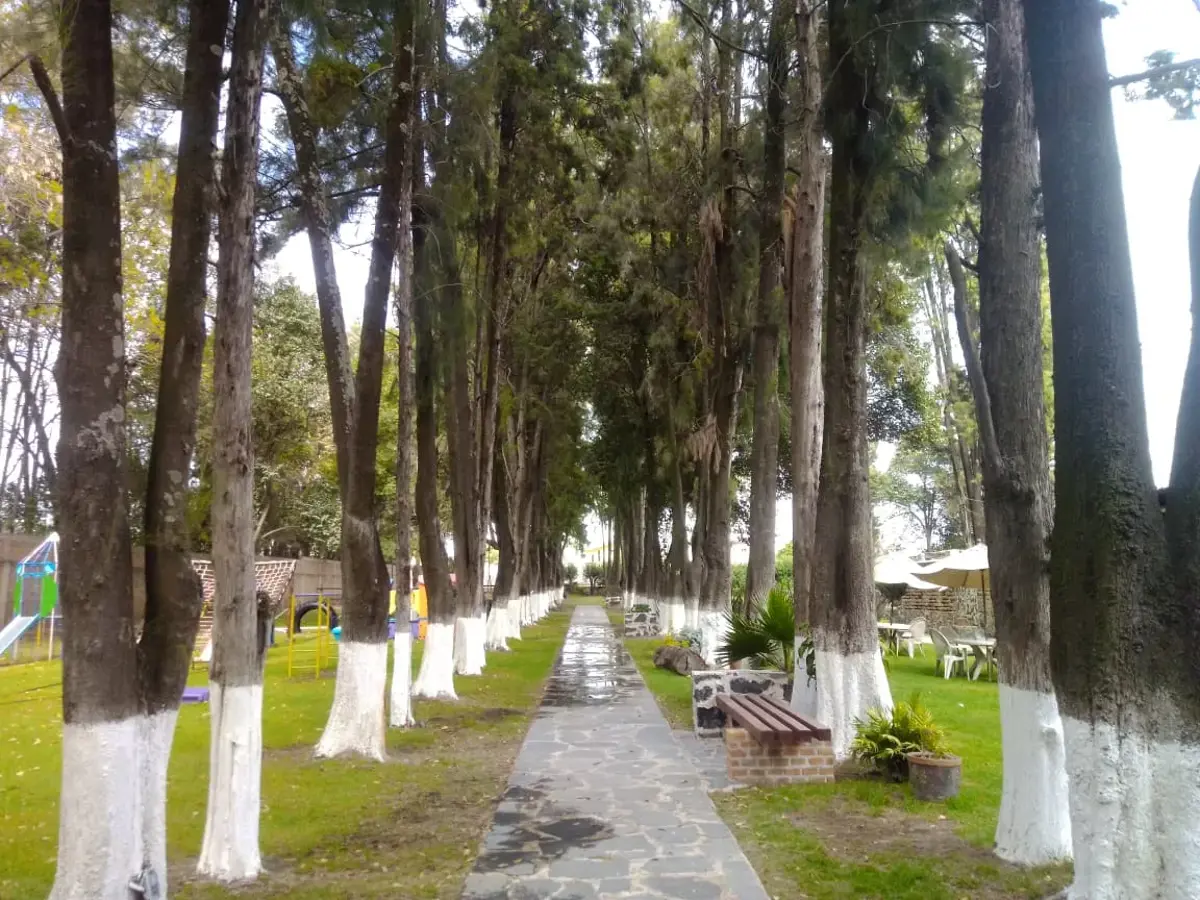 Terreno en venta en Zerezotla, San Pedro Cholula — foto 1 de 11