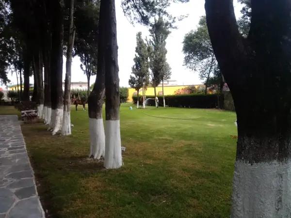 Terreno en venta en Zerezotla, San Pedro Cholula — foto 3 de 11