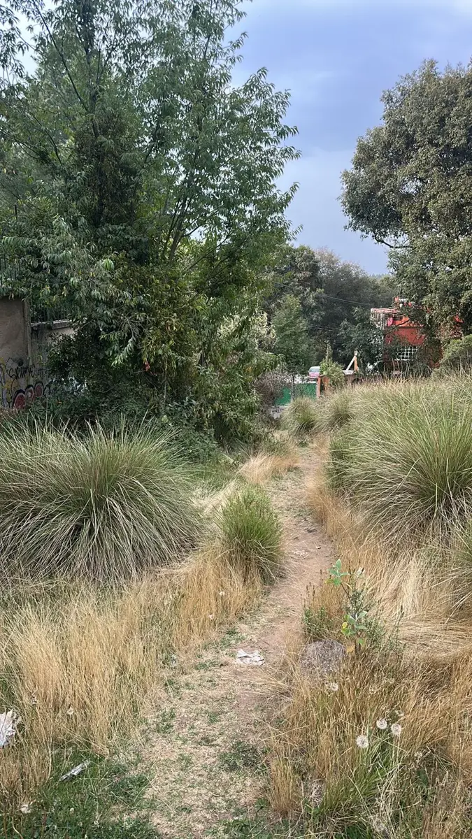 Terreno en venta en San Lorenzo Acopilco, Cuajimalpa de Morelos — foto 1 de 10