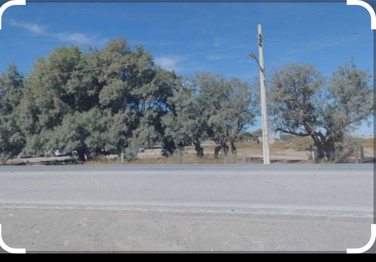 Terreno en venta en Pastor Rouaix, Gómez Palacio