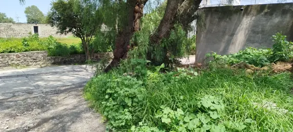 Terreno en venta en San Luis Apizaquito, Apizaco — foto 2 de 7