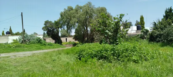 Terreno en venta en San Luis Apizaquito, Apizaco — foto 3 de 7