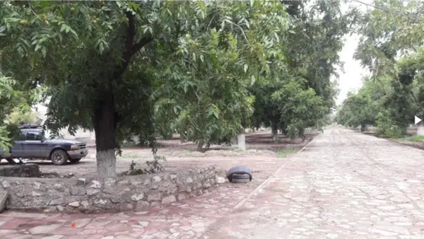Terreno en venta en Santa Cruz Luján, Gómez Palacio — foto 3 de 12