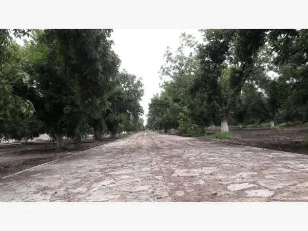 Terreno en venta en Santa Cruz Luján, Gómez Palacio — foto 2 de 14