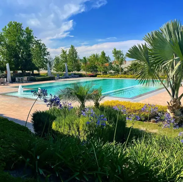 Terreno en venta en La Gran Vinícola, Gómez Palacio — foto 3 de 11