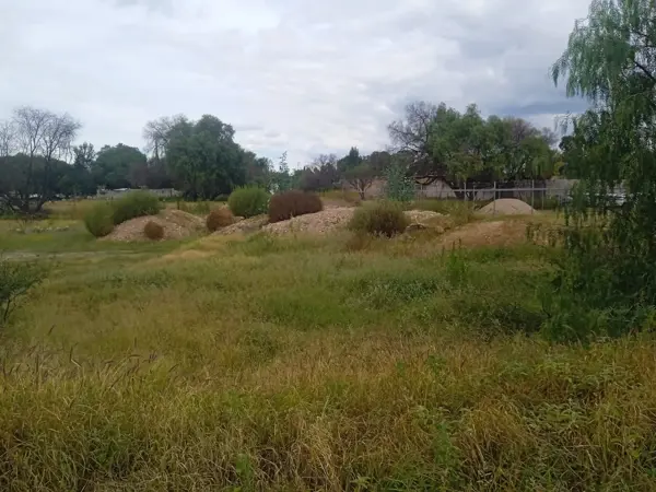 Terreno en venta en Alceda Residencial, Villa de Pozos — foto 3 de 11