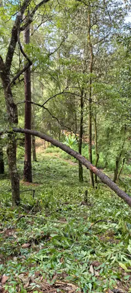Terreno en venta en Peña Blanca, Valle de Bravo — foto 2 de 32