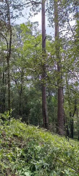 Terreno en venta en Peña Blanca, Valle de Bravo — foto 3 de 32