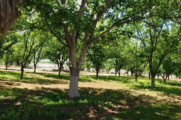 Terreno en venta en La Joya, Arteaga — foto 2 de 9