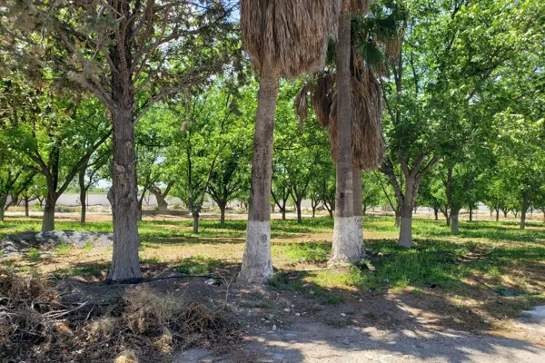 Terreno en venta en La Joya, Arteaga — foto 3 de 9