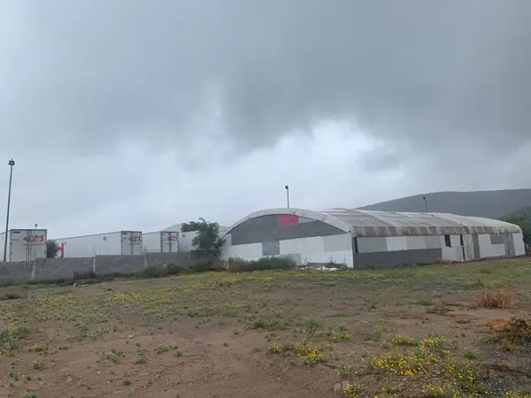 Bodega en renta en Salvador Allende, Torreón — foto 3 de 15