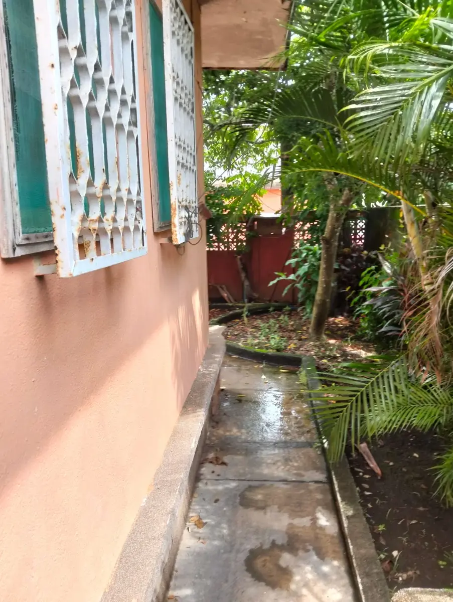 picture-3