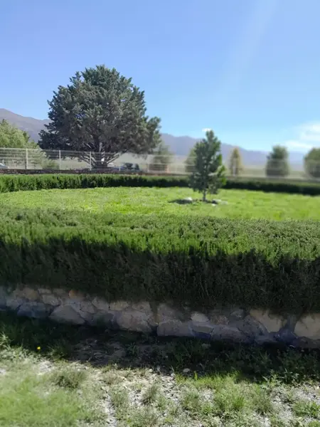 Terreno en venta en San Antonio de las Alazanas, Arteaga — foto 2 de 4