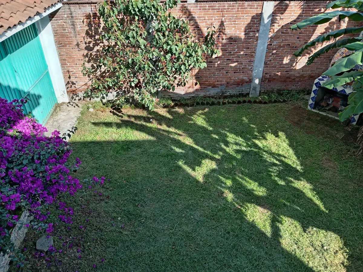 picture-4