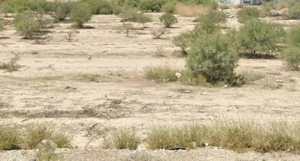 Terreno en venta en Hacienda San José, Torreón — foto 3 de 9