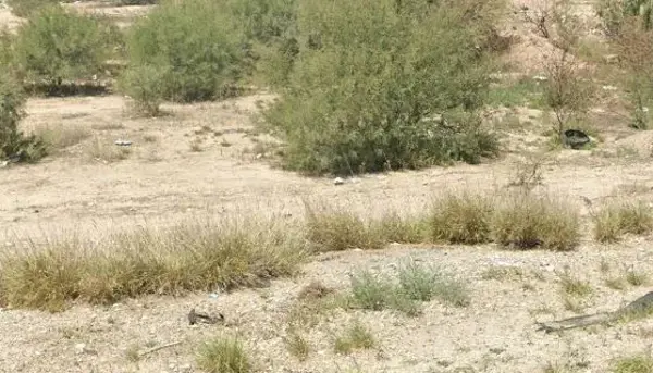 Terreno en venta en Hacienda San José, Torreón — foto 2 de 9