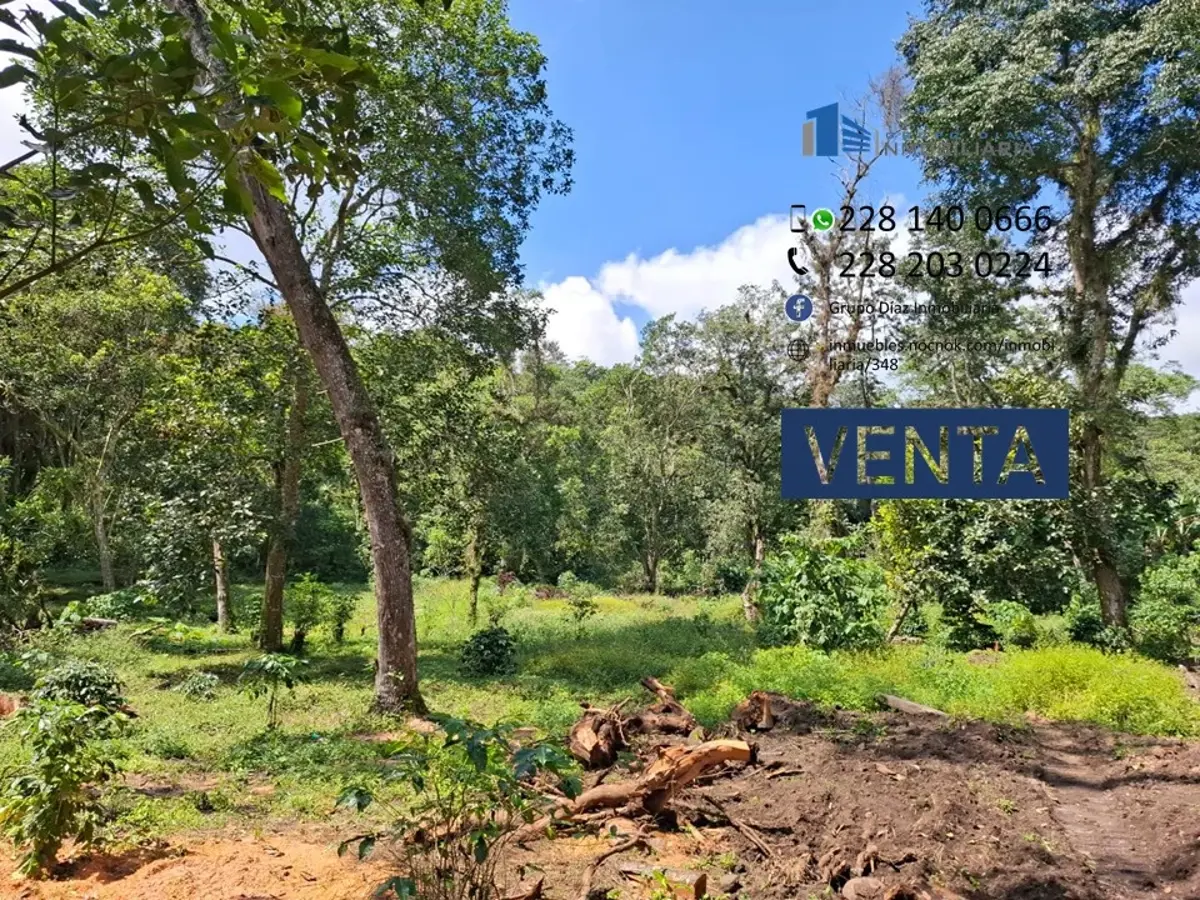 Terreno en venta en San Jacinto, Coatepec — foto 1 de 12