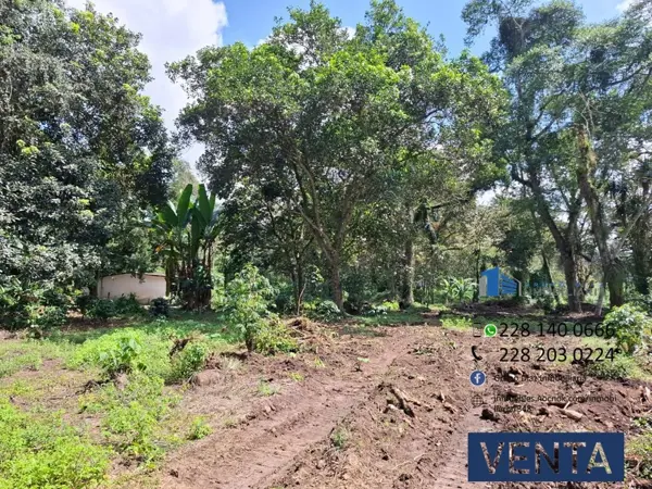 Terreno en venta en San Jacinto, Coatepec — foto 3 de 12