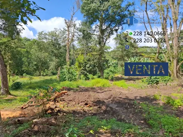 Terreno en venta en San Jacinto, Coatepec — foto 2 de 12