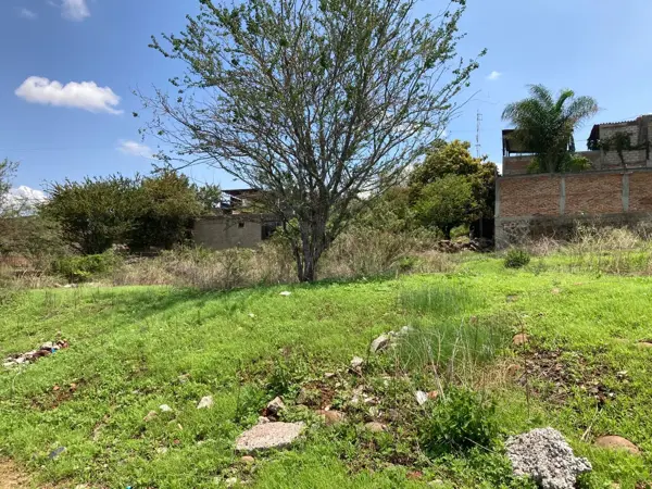 Terreno en renta en San Jose del Castillo, El Salto — foto 2 de 12