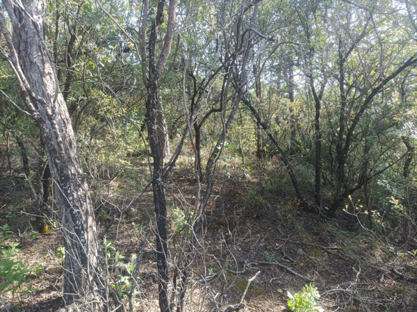 Terreno en venta en El Diamante, Arteaga — foto 3 de 5