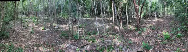 Terreno en venta en Doctores, Benito Juárez — foto 3 de 6