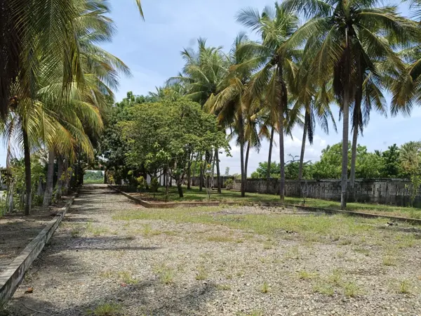 Terreno en venta en Playa Linda, Tapachula — foto 3 de 3