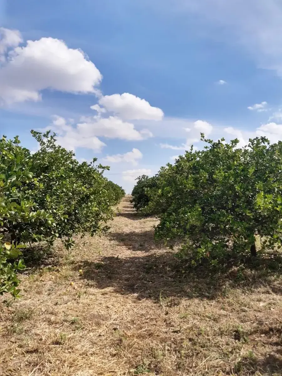 Finca-Rancho en venta en Ex Hacienda de Santiago, San Francisco del Rincón — foto 1 de 28