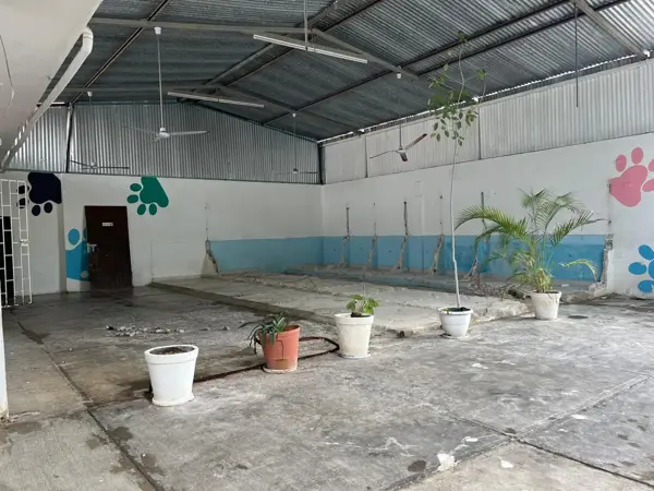 Bodega en renta en Ejidal, Solidaridad — foto 3 de 8