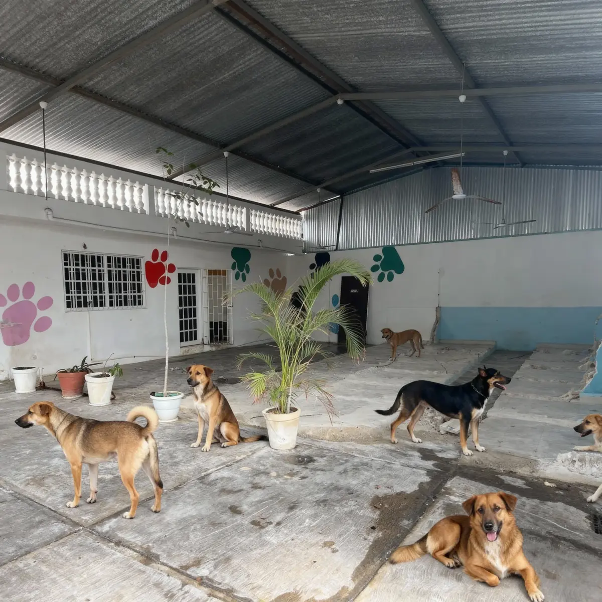 Bodega en renta en Ejidal, Solidaridad — foto 1 de 8