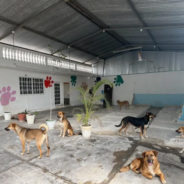 Bodega en Renta en esquina sobre Av. Juárez – Playa del Carmen
