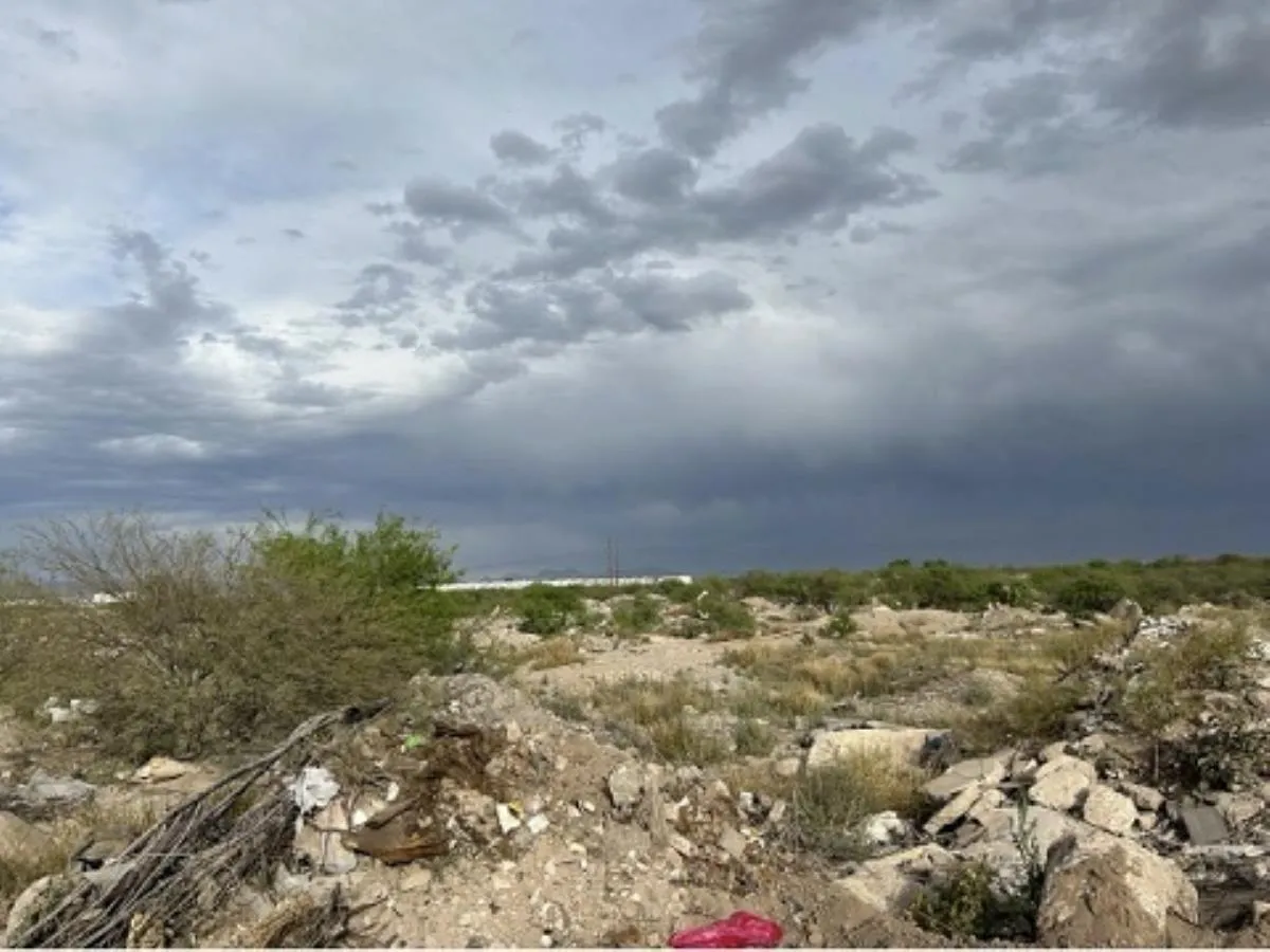 Terreno en venta en Los Virreyes, Torreón — foto 1 de 5