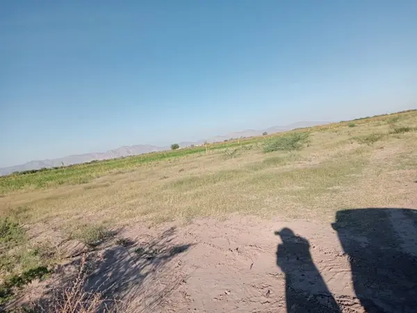 Terreno en venta en Ejido San Miguel, Matamoros — foto 3 de 7