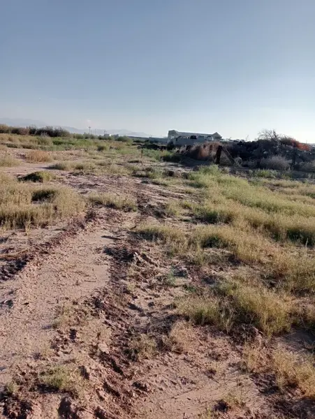 Terreno en venta en Ejido San Miguel, Matamoros — foto 2 de 7