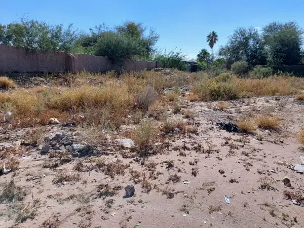 Terreno en venta en La Competencia, Gómez Palacio — foto 2 de 4