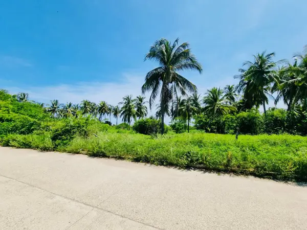 SE VENDE TERRENO PROPIEDAD DE 8,000 M2 A UNOS METROS DE LA PLAYA DE ACAPULCO EN ZONA DIAMANTE
