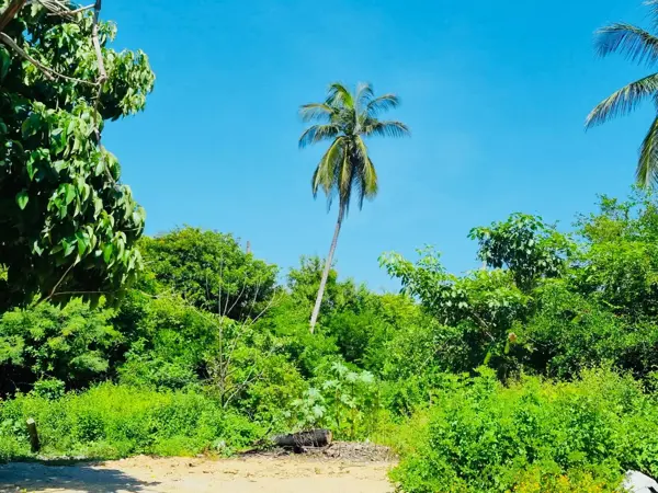Terreno en venta en Barra Vieja, Acapulco de Juárez — foto 3 de 10