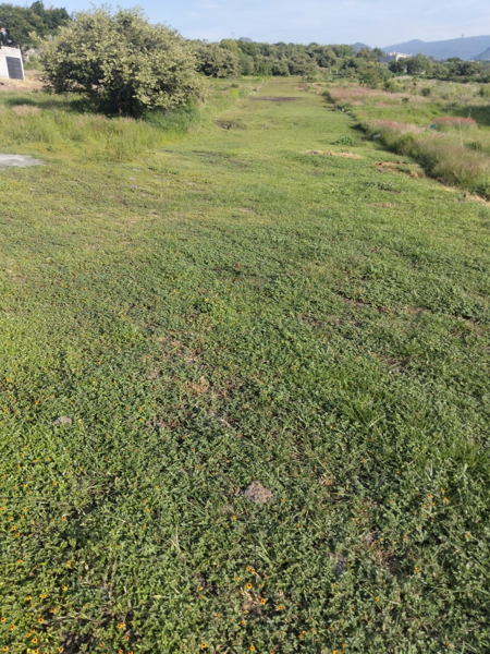 Terreno en venta en Joyas del Astillero, Tlayacapan — foto 3 de 10