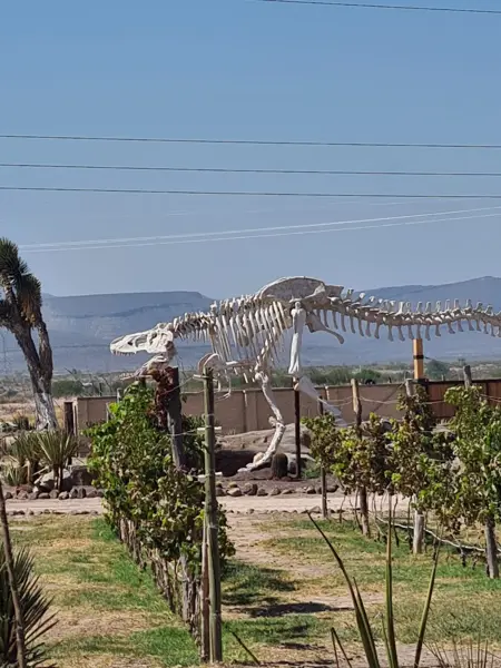Terreno en venta en Rincón Colorado, General Cepeda — foto 2 de 6
