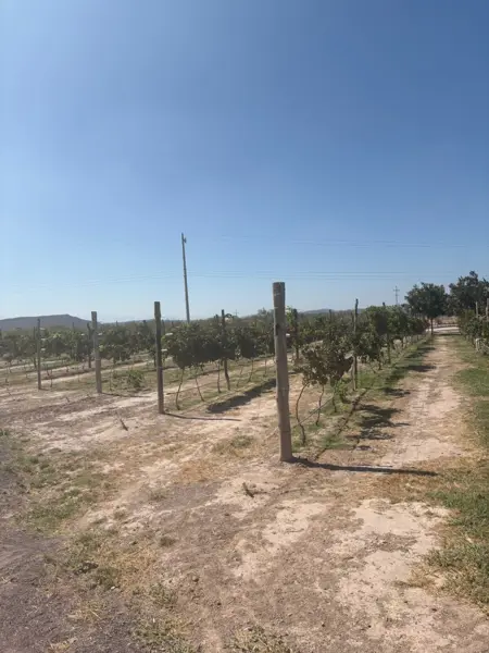 Terreno en venta en Rincón Colorado, General Cepeda — foto 3 de 6