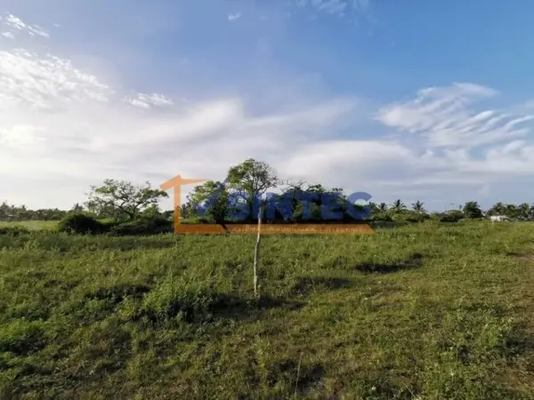 Terreno en venta en La Guadalupe, Tecolutla — foto 3 de 7