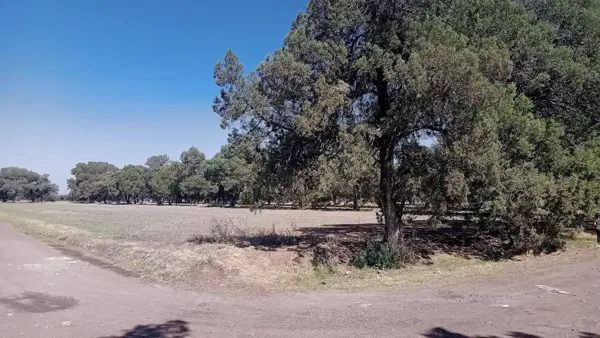 Terreno Habitacional y para uso industrial
En esquina con todos los servicios a menos de 100 metros