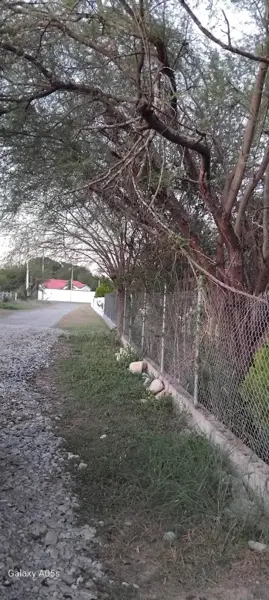 QUINTA EN VENTA
