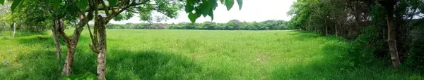 Terreno en venta en Delfino Victoria (santa Fe), Veracruz — foto 3 de 4