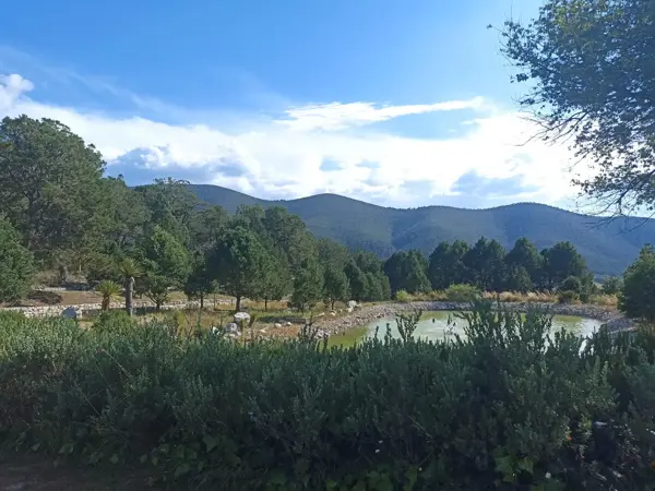 Terreno en venta en La Efigenia, Arteaga — foto 3 de 15