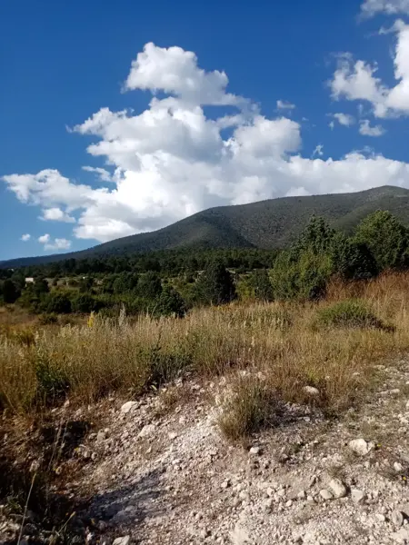 Terreno en venta en La Efigenia, Arteaga — foto 2 de 22