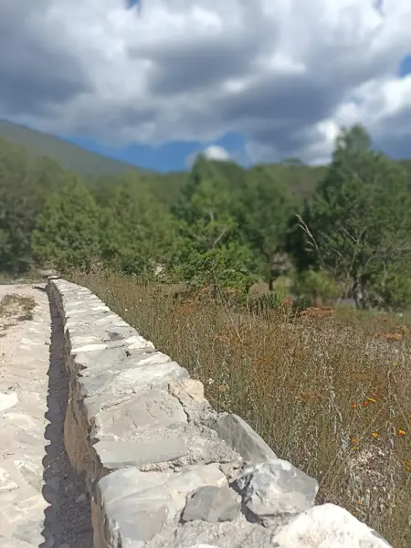 Terreno en venta en La Efigenia, Arteaga — foto 3 de 22