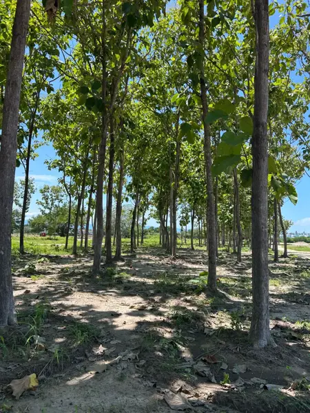 Terreno en venta en Paraíso Vallarta, Bahía de Banderas — foto 3 de 7